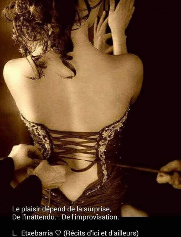 Appartement La Duchesse - Loveroom Moonlove Place Stanislas *